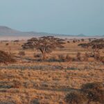 5-Days Private Safari Tour in Trangire, Serengeti, and Ngorongoro Crater - Transport, Accommodation, and Value