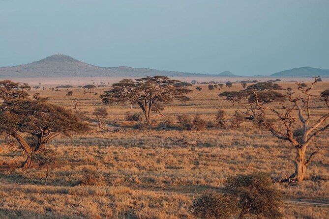5-Days Private Safari Tour in Trangire, Serengeti, and Ngorongoro Crater - Transport, Accommodation, and Value