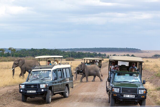 5 Days Private Safari Tour & Maasai village Visit Tanzania - What Makes This Tour Stand Out?