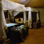5 Days Safari Lodges & Culture - Who Should Consider This Safari?