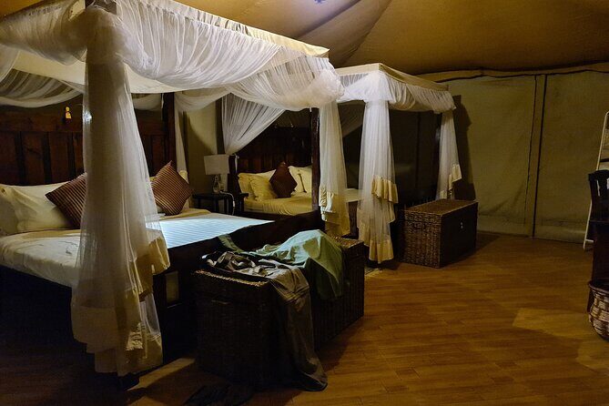 5 Days Safari Lodges & Culture - Who Should Consider This Safari?