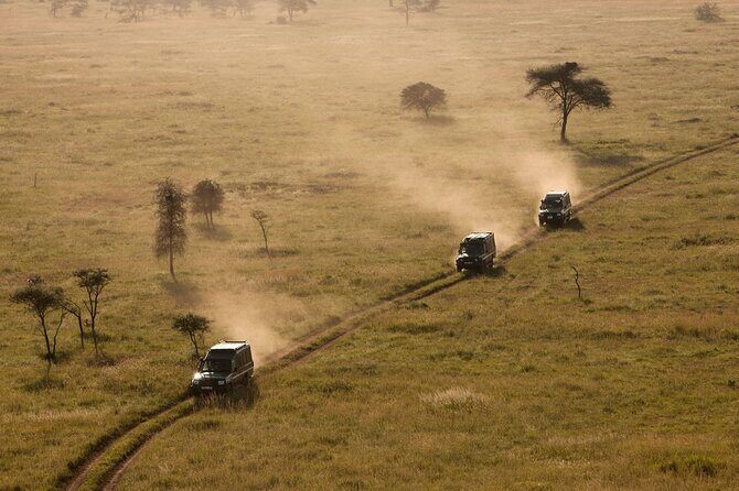 5 Days Safari Tarangire, Serengeti, and Ngorongoro Crater - The Booking & Value Proposition