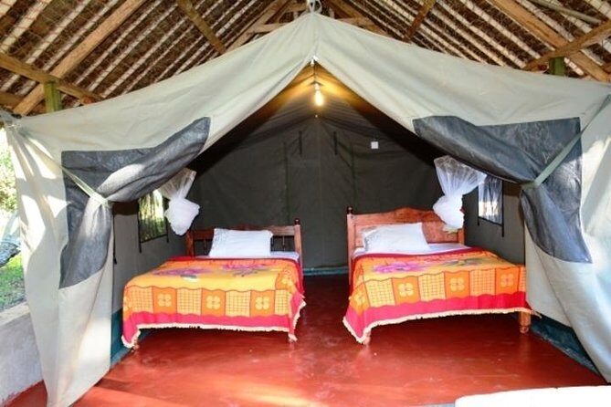 5 Days safari to Maasai Mara ,Lake Nakuru and Hell's gate national park - Day-by-Day Breakdown: What to Expect