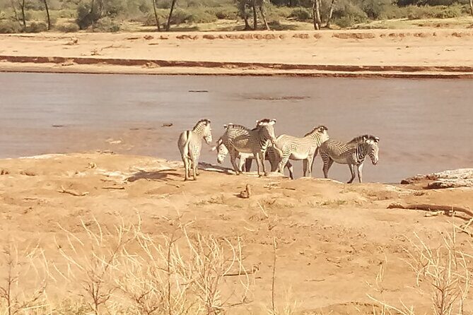 5 Days Safari to Samburu N/R Ol Pejeta Conservancy Hells Gate N/P, Lake Naivasha - Authenticity and Value