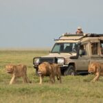 5 Days Serengeti Camping Safari - The Itinerary in Detail