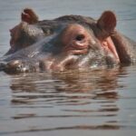 5 Days Tanzania Budget Camping Safari from Arusha - What Sets This Tour Apart