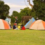 5 Days Tanzania Family Safari - What This Tour Means for You