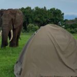 5 Days Tanzania Joining Safari with Pick Up Included Shared Tour - Authentic Experiences and Unique Insights