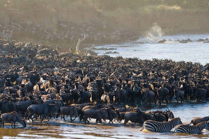 5 Days Tanzania Safari Great Wildebeest Migration - Detailed Breakdown of the Itinerary