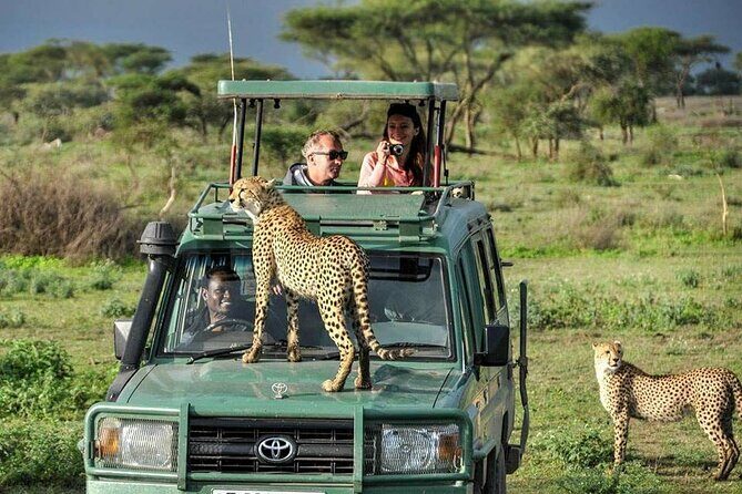 5 Days Tanzania Safari with Serengeti - The Experience: From Guides to Food