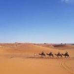 5 Days Tour From Fes - Transportation and Comfort