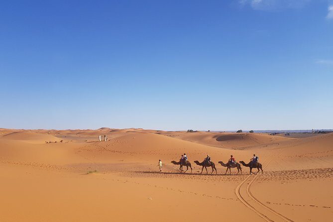 5 Days Tour From Fes - Transportation and Comfort