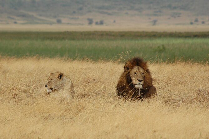 5 days Tour Tarangire, Serengeti, Ngorongoro Crater & Lake Manyara Park-Midrange - The Value of This Tour