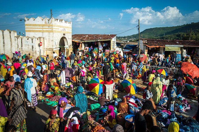 5 Days Tour to World Heritagelisted Harrar, Dire Dawa and Awash NATIONAL PARK - Practical Details and Value Considerations