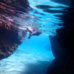 5-hour Cape Greco Caves kayaking + Snorkelling trip - The Value of the Experience: Is It Worth the Price?