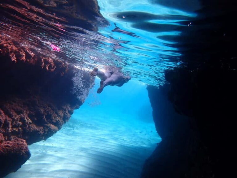 5-hour Cape Greco Caves kayaking + Snorkelling trip - The Value of the Experience: Is It Worth the Price?