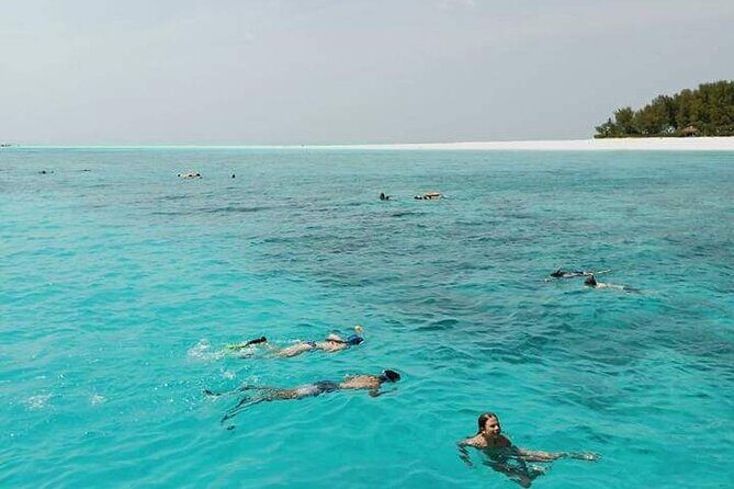5-Hour Snorkeling, Swimming with Dolphins and Sea Turtles Aquarium - Authentic Experiences and Practical Tips