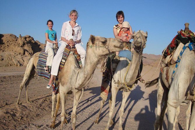 5 in 1 desert adventure in Sharm el Sheikh - Introducing the 5 in 1 Desert Adventure in Sharm el Sheikh