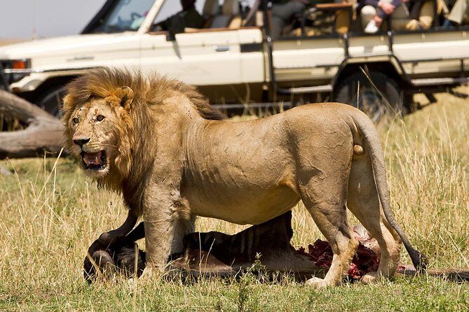 5Days Tanzania Camping Safari to Lake Manyara Serengeti And Ngorongoro Crater from Arusha - What to Expect in Terms of Price and Value