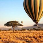 5days Tarangire,Serengeti,ngorongoro Crater and Lake Manyara National park - Analyzing the Cost and Value