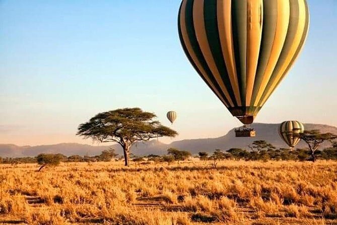 5days Tarangire,Serengeti,ngorongoro Crater and Lake Manyara National park - Analyzing the Cost and Value