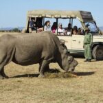 6-Day 5 Nights Masai Mara, Lake Nakuru & Amboseli Budget Safari - What Travelers Love About This Tour