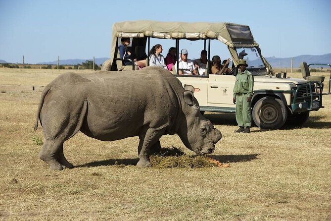 6-Day 5 Nights Masai Mara, Lake Nakuru & Amboseli Budget Safari - What Travelers Love About This Tour
