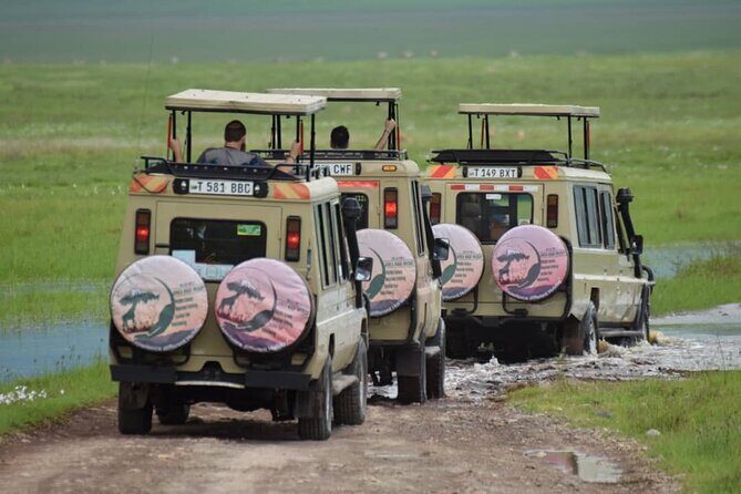 6-Day Big Five Magic Safari Tour - What Makes This Tour Stand Out?