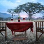 6-Day Budget Lodge Safari in Tanzania - Transportation, Accommodation, and Meals