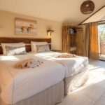 6-Day Dunes and Wildlife Accommodated Safari from Windhoek - Day 3: Cross into Damaraland and the Zeila Shipwreck