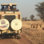 6 Day Group Camping Safari Tarangire Serengeti Ngorongoro Manyara - Practical Details and Experience Highlights