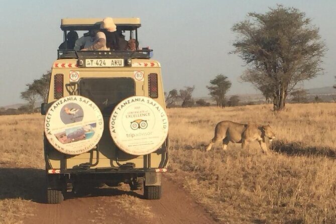 6 Day Group Camping Safari Tarangire Serengeti Ngorongoro Manyara - Practical Details and Experience Highlights