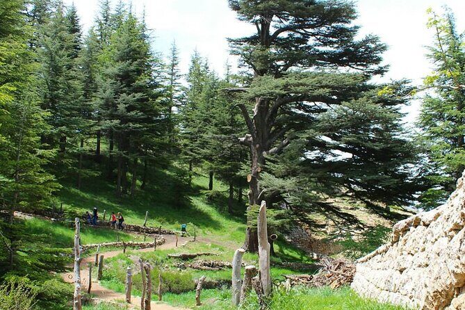 6-Day Highlights of Lebanon Tour from Beirut with Pickup - Who Is This Tour Best For?