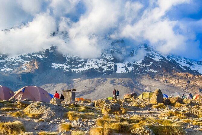 6 Day: Hiking Kilimanjaro via Machame Route - Who Will Love This Trek?
