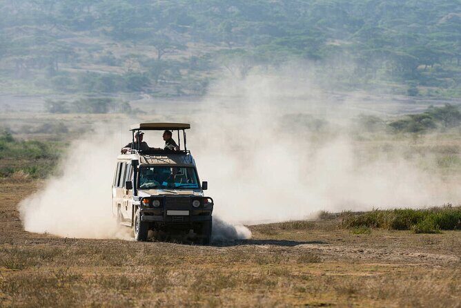 6-Day Honeymoon Safari Tour Package in Tanzania - Detailed Day-by-Day Breakdown