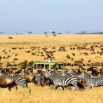 6 Day: Magnificent Wildlife Adventure - FAQs