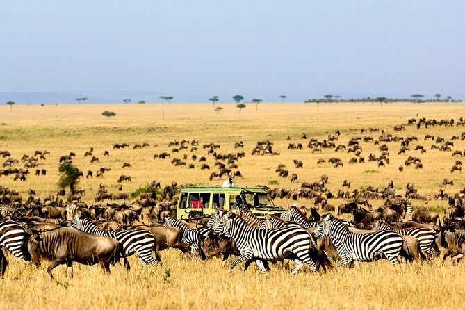 6 Day: Magnificent Wildlife Adventure - FAQs