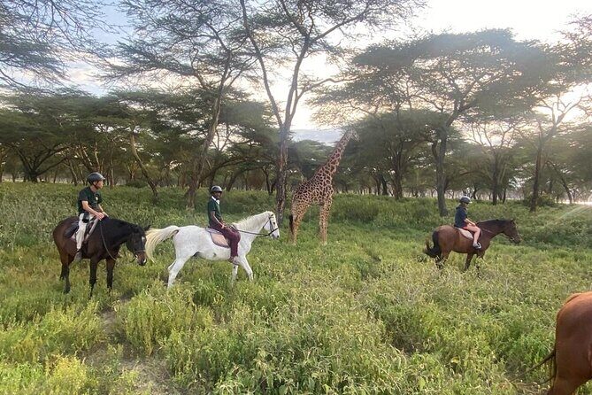 6 Day Nairobi-Amboseli-Maasai Mara Private Semi Luxury Tour - Transportation and Comfort