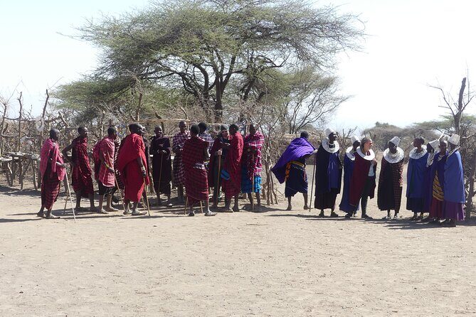 6-Day Northern Safari - What Makes This Safari Stand Out?