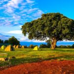 6 Day Private Camping Safari - The Practical Side: Logistics, Comfort, and Value