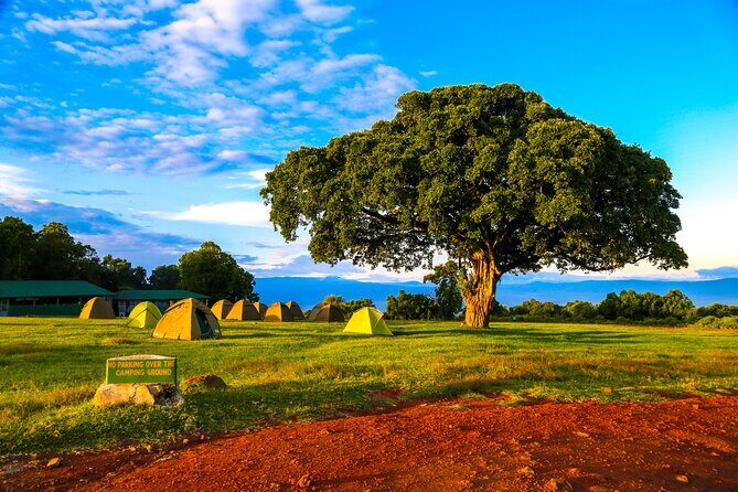 6 Day Private Camping Safari - The Practical Side: Logistics, Comfort, and Value