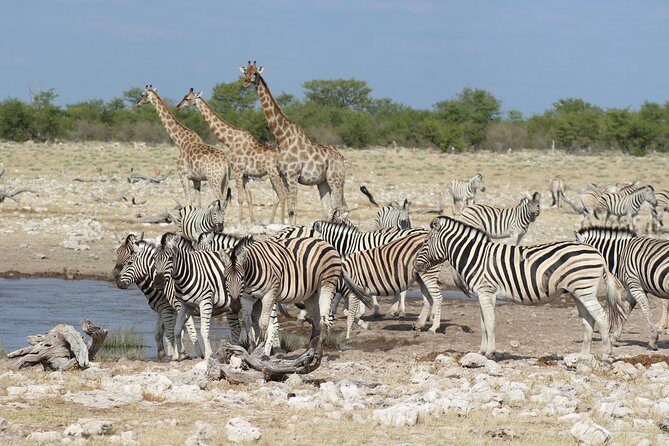 6 Day Private Guided Accommodated Namibian Loop - FAQs