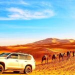 6-Day Private Morocco Cultural Tour From Casablanca To Marrakech - Who Is This Tour Best For?