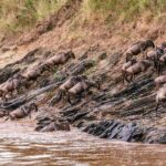 6-Day Private Tour in Samburu, Nakuru and Maasai Mara - Who Should Consider This Tour?