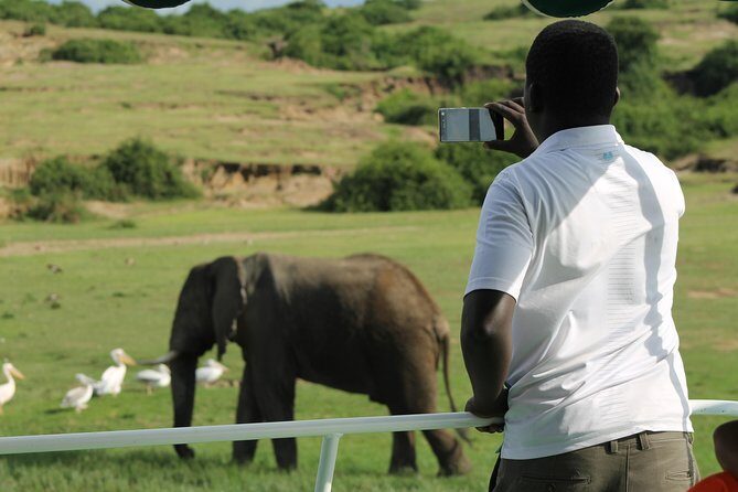 6-Day Queen Elizabeth and Mburo Luxury Safari - A Closer Look at the Itinerary and What You Can Expect