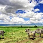 6 -Day Tarangire, Manyara, Serengeti & Ngorongoro - What Makes This Tour Stand Out?