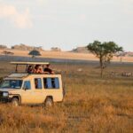 6-Day Unforgettable Tour in Tanzania - Daily Breakdown: What to Expect