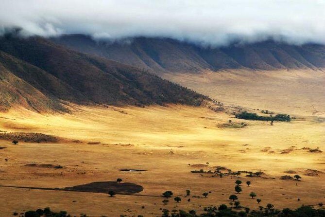 6 Days 5 Nights lodge safari Tarangire, Manyara, Serengeti & Ngorongoro Crater - Day-by-Day Breakdown