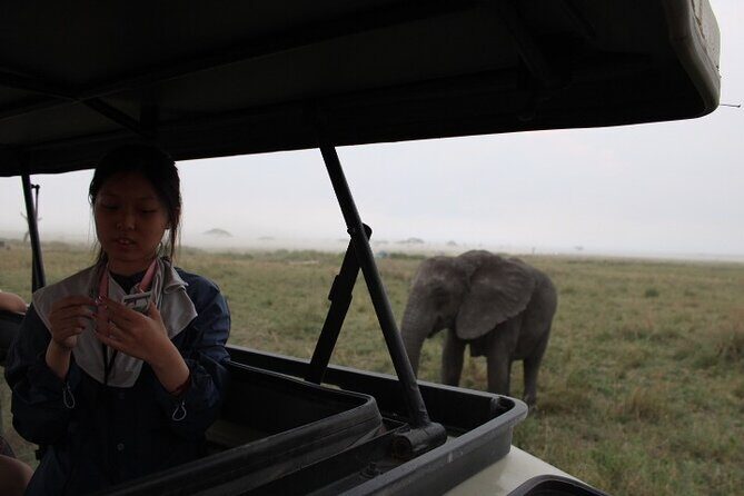 6 Days Adventure Towards Serengeti, Ngorongoro and Tarangire - What Travelers Say