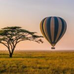 6 Days best adventure kilimanjaro ,Tarangire ,Serengeti &Ngorongoro crater - What Makes This Tour Special?